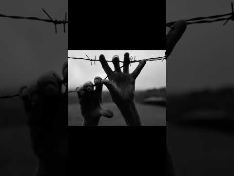 27 Gennaio Giornata della Memoria. PER NON DIMENTICARE #history #giornatadellamemoria