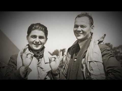 Polish Battle of Britain contribiution was essential