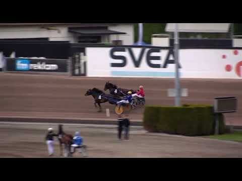 Elitlopp Meeting Friday Speedrace Kallblod Elimination 2 - Alsaker Pumbaa