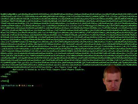 Serverless MicroProfile and Jakarta EE on Payara Cloud #slideless
