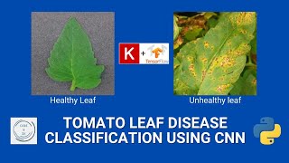 Tomato leaf's disease classification using CNN for binary class easy explain @codewithsk8