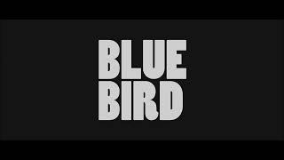 Michel Bisceglia trio - Blue Bird (Album Teaser)
