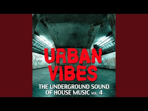 Seduce Me (feat. Amera Light) (Baggi Begovic Dub)