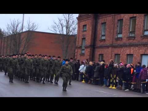 Nylands Brigad 20130215