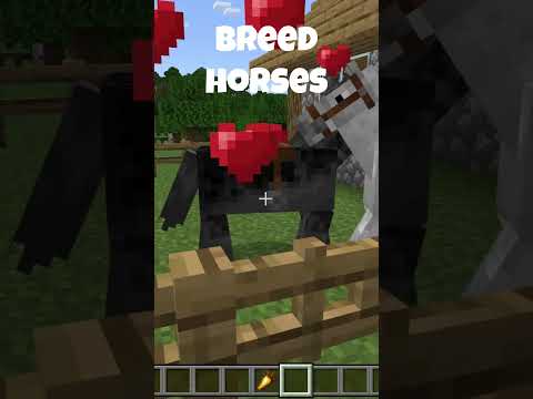 How to breed horses in minecraft