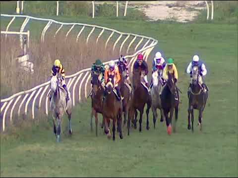 Napoli Galoppo 04/12/2022 - 5ª corsa