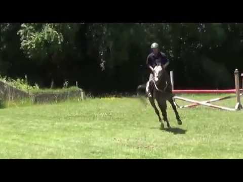 CORNET BOY   Rinconada