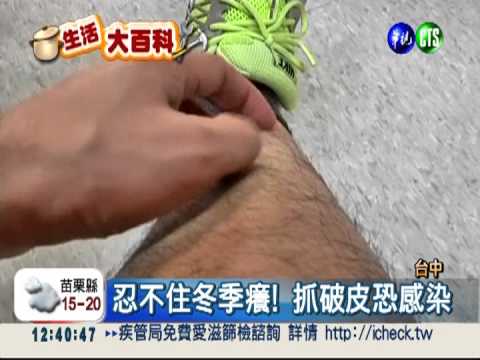 拒絕冬季癢! 中藥食補也有效