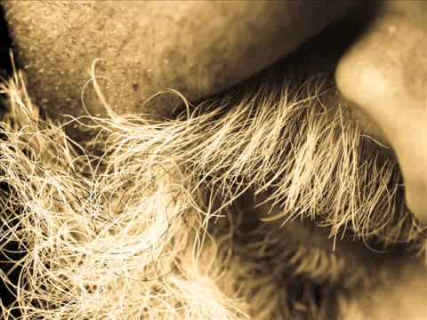 Čedo Antolić - Zornica