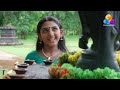 Nandanam Flowers Ep 494