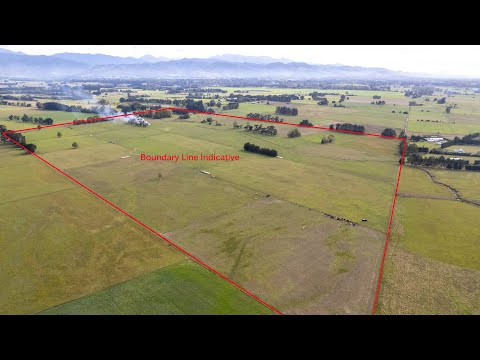 SOLD - Cross Line, Greytown - 65ha - 4 Titles