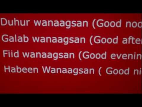 Somali Language in easy steps  3.1