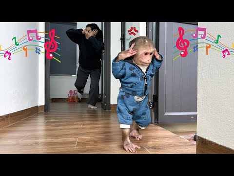 Lala and Mom run away from home because of the annoying noise from their neighbors!