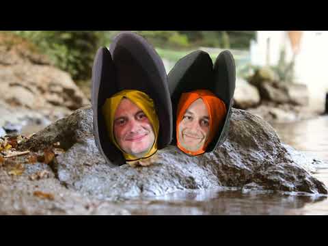 Roland Cristal ft. Pommade & Maxwell Farrington - Comme une huître