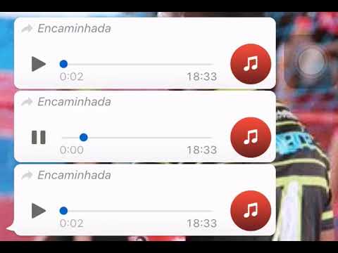 Repangalejando e agalou tudo #memes