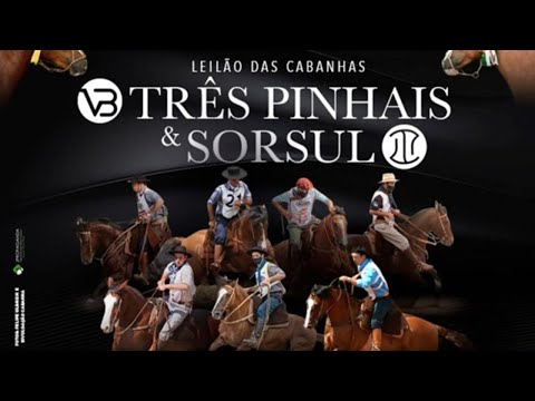 Leilão das Cabanhas Três Pinhais & Sorsul