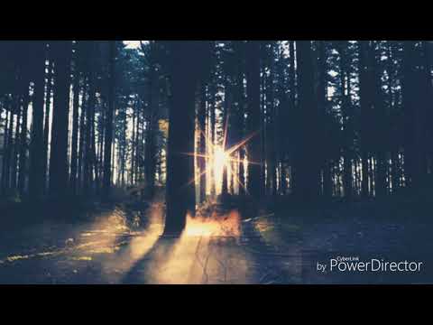 Yo Me Alegré. Avivando La Fe