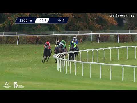 23.10.2021 (D44; G1; Tor: 3,3; 7°C)