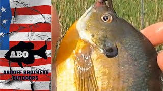ABO | Ross tried a new lake from MN DNR Lakefinder...Found some Bluegills!