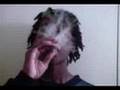 3-6 Mafia-Bin laden