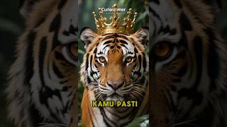 Sedihnya Menjadi Harimau si Raja Rimba #shorts #harimau #sumatera #hewan #hutan