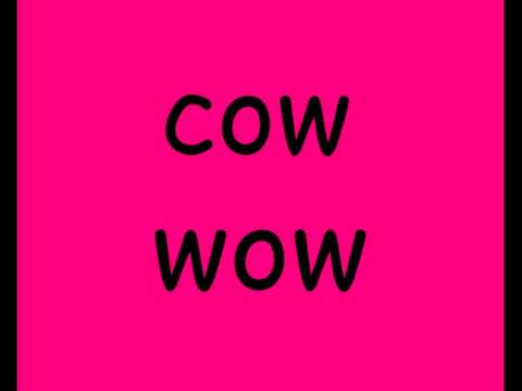 Exploring Letter-Sound Correspondence