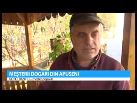 Meșterii dogari din Țara Zarandului - De la butoaie și ciubere la jacuzzi - Stiri Antena Vest -