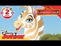 Løvernes Garde Den Gyldne Zebra Musikvideo Disney Junior Danmark