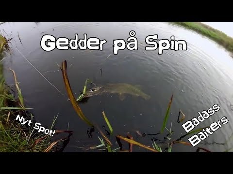 Gedde Fiskeri På Spin # Nyt Spot Sep18