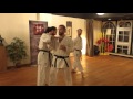 Enpi Bunkai 5 Distances Raw Cut