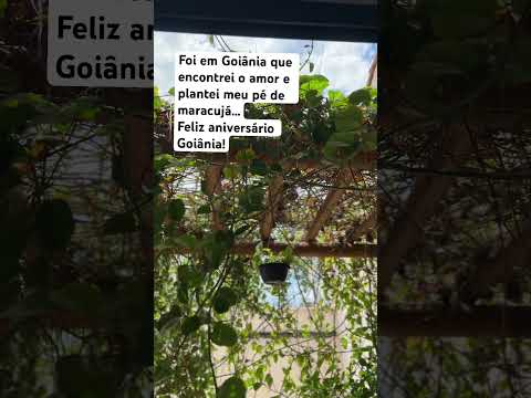 Aniversário de Goiânia, meu lar há 5 anos  #goiânia #goiás #goias