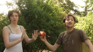 Maybe it&#39;s Maybeline by Relient K