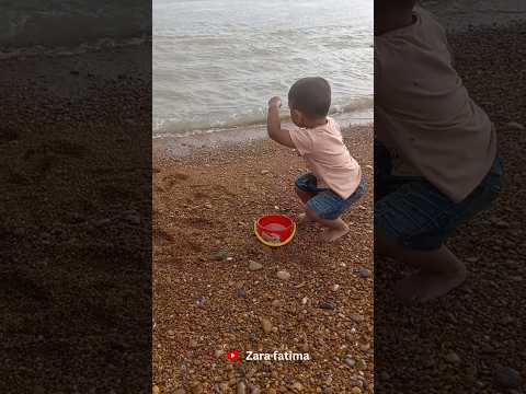 Zara Playing at Sea Coast 🌊 #shorts #beach #youtubeshorts