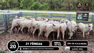 Vídeo LOTE 20