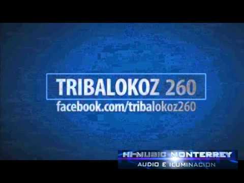 TODO MUNDO A BAILAR - TRIBALOKOZ 260 MONTERREY (OLD SCHOOL EP) STAII DJ