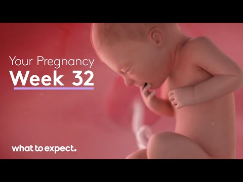 Mother-Baby developments this week (Week 32)
