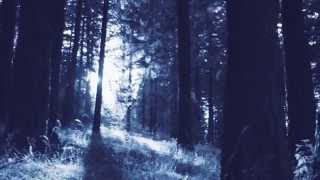 Mimicking Birds Bloodlines