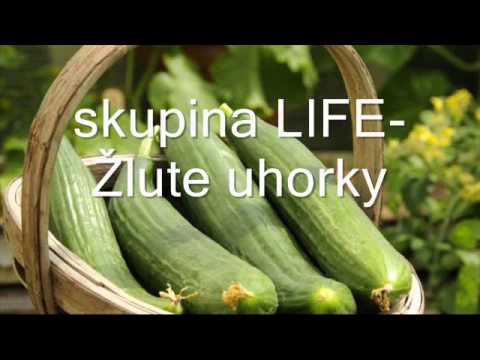 skupina LIFE-Žlute uhorky