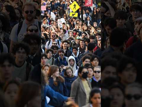 Cornell faculty member alleges 'cover up' in Jane Doe case