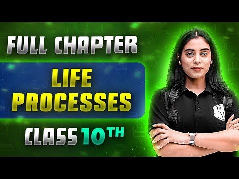 Life Processes FULL CHAPTER | Class 10th Science | Chapter 5 | Udaan