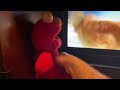 Tickle Elmo Watching Computer Sheltie Barking Scare
