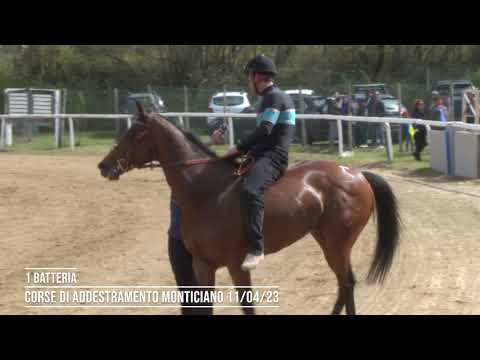 CORSE MONTICIANO - 11 APRILE 2023