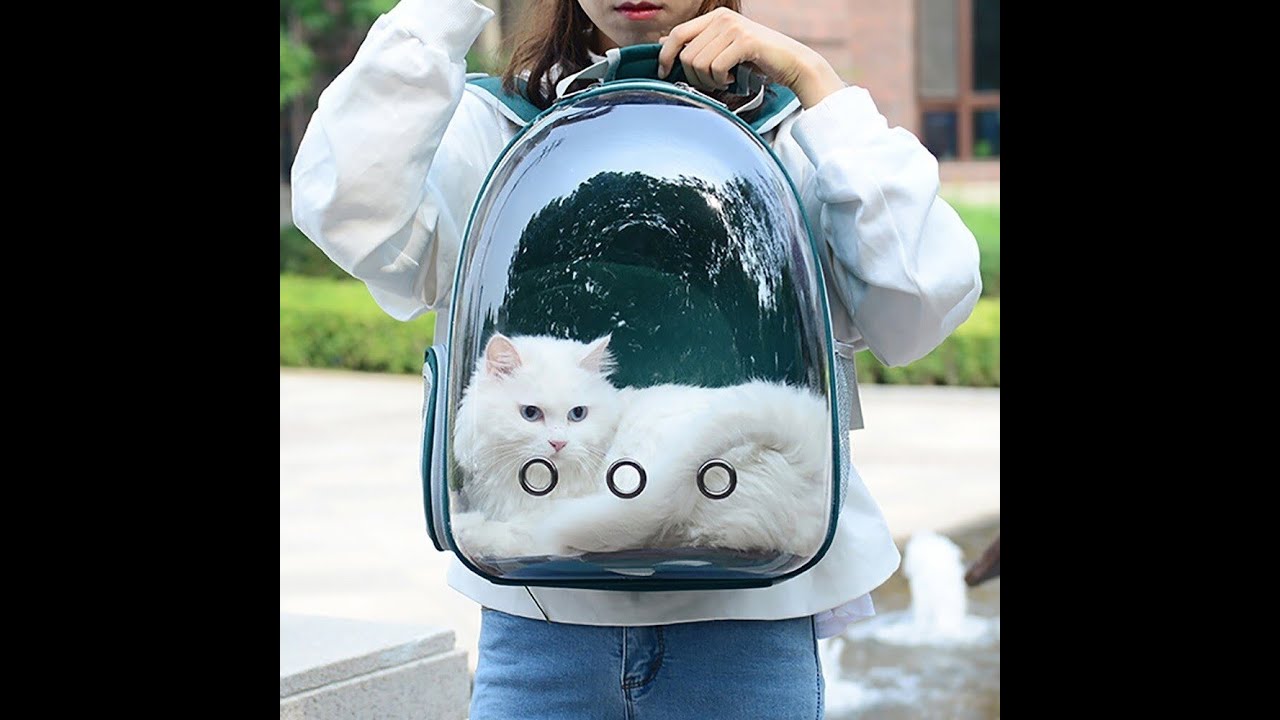Sac a dos bulle pour chats et chiens