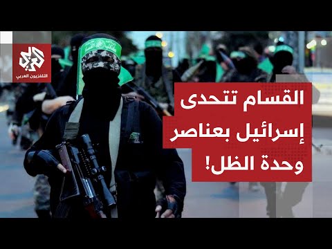 عناصر وحدة الظل