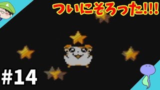 ついにそろった!!隠し要素!!!-とっとこハム太郎2 ハムちゃんず大集合でちゅ-