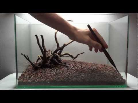 Setting up Nano planted aquarium