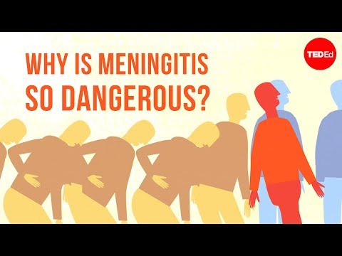 Why Is Meningitis So Dangerous to Us?