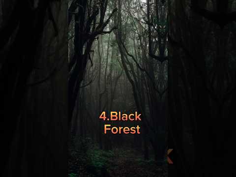 Top 5 most Dangerous forest🌲 in the world#short
