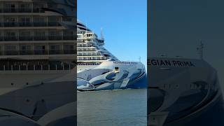 Norwegian Prima sail away! #shorts #norwegianprima #portcanaveral #cruiseship