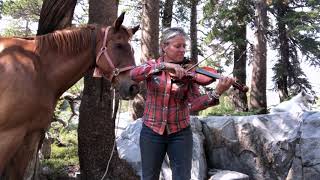 Reflections from Elana James